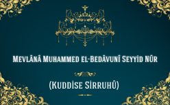Muhammed el-Bedâvunî Seyyid Nûr Hazretleri