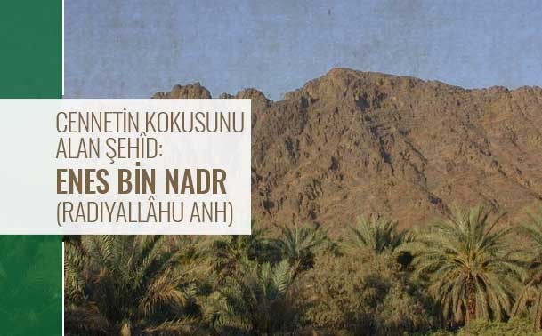 Cennetin Kokusunu Alan Şehîd: Enes bin Nadr (Radıyallâhu Anh)